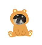 愛犬いちごスタンプ（個別スタンプ：8）