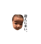 御中元（個別スタンプ：12）