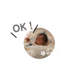 御中元（個別スタンプ：21）