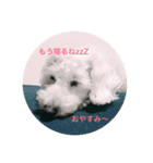 べーかーる（個別スタンプ：1）