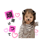 ちびずの日常www（個別スタンプ：6）