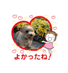 マルプーのメイプルのスタンプ（個別スタンプ：12）