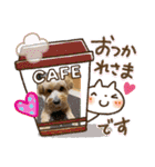 マルプーのメイプルのスタンプ（個別スタンプ：15）