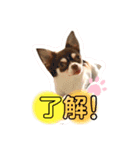 まろ①（個別スタンプ：2）