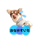 まろ①（個別スタンプ：6）
