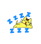 ポメタとミーコ（個別スタンプ：35）