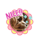 Pu〜（個別スタンプ：3）