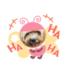 Pu〜（個別スタンプ：4）