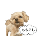 Mugi's surf（個別スタンプ：4）