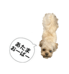 Mugi's surf（個別スタンプ：8）
