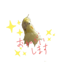 オカメ2020（個別スタンプ：2）