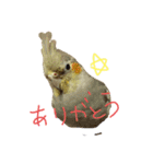 オカメ2020（個別スタンプ：3）