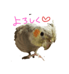 オカメ2020（個別スタンプ：6）