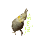 オカメ2020（個別スタンプ：10）