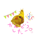 オカメ2020（個別スタンプ：16）