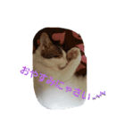 さ.み.ちニャンs（個別スタンプ：7）