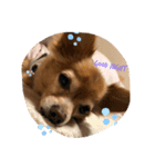 KIRA⭐︎（個別スタンプ：4）