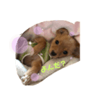 KIRA⭐︎（個別スタンプ：7）