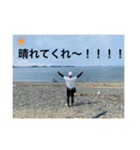 爆釣TVⅡ（個別スタンプ：11）