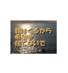 夕暮れの海辺で元気を出して欲しいスタンプ（個別スタンプ：5）