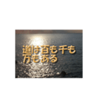 夕暮れの海辺で元気を出して欲しいスタンプ（個別スタンプ：23）