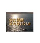 夕暮れの海辺で元気を出して欲しいスタンプ（個別スタンプ：29）