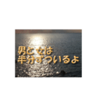 夕暮れの海辺で元気を出して欲しいスタンプ（個別スタンプ：36）