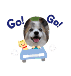 パピヨン めるめる 2（個別スタンプ：11）