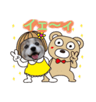 パピヨン めるめる 2（個別スタンプ：12）