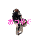 柚月美名(扱いやすい)（個別スタンプ：11）
