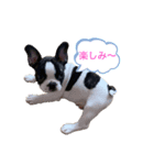 ぱんくんはうす（個別スタンプ：1）