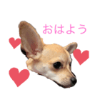 ぱんくんはうす（個別スタンプ：5）