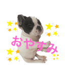 ぱんくんはうす（個別スタンプ：6）