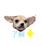ぱんくんはうす（個別スタンプ：8）