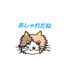 ねこちゃんたち   はい！（個別スタンプ：3）