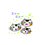 ねこちゃんたち   はい！（個別スタンプ：4）