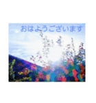 私の撮したお気に入りハッピースタンプ2（個別スタンプ：4）