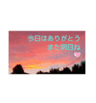 私の撮したお気に入りハッピースタンプ2（個別スタンプ：7）