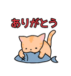 茶トラ猫"ばにら"（個別スタンプ：9）