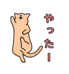 茶トラ猫"ばにら"（個別スタンプ：19）