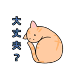 茶トラ猫"ばにら"（個別スタンプ：21）