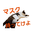 パンタソ（個別スタンプ：1）