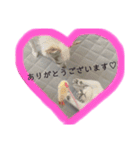 M家ペットふぁみ（個別スタンプ：6）