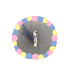 M家ペットふぁみ（個別スタンプ：12）