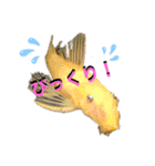 SHの気まぐれスタンプ（個別スタンプ：2）