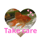 SHの気まぐれスタンプ（個別スタンプ：7）