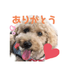 かわいいマーティーの生活（個別スタンプ：7）