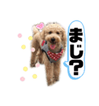 かわいいマーティーの生活（個別スタンプ：8）