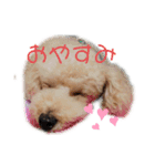 かわいいマーティーの生活（個別スタンプ：9）