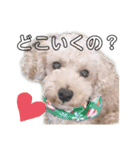 かわいいマーティーの生活（個別スタンプ：11）
